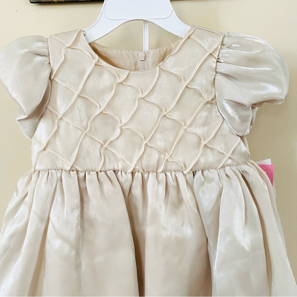 RARE EDITIONS Baby Dress Shimmer Organza Puff Sleeve 24 Months Pageant Easter - Picture 3 of 15